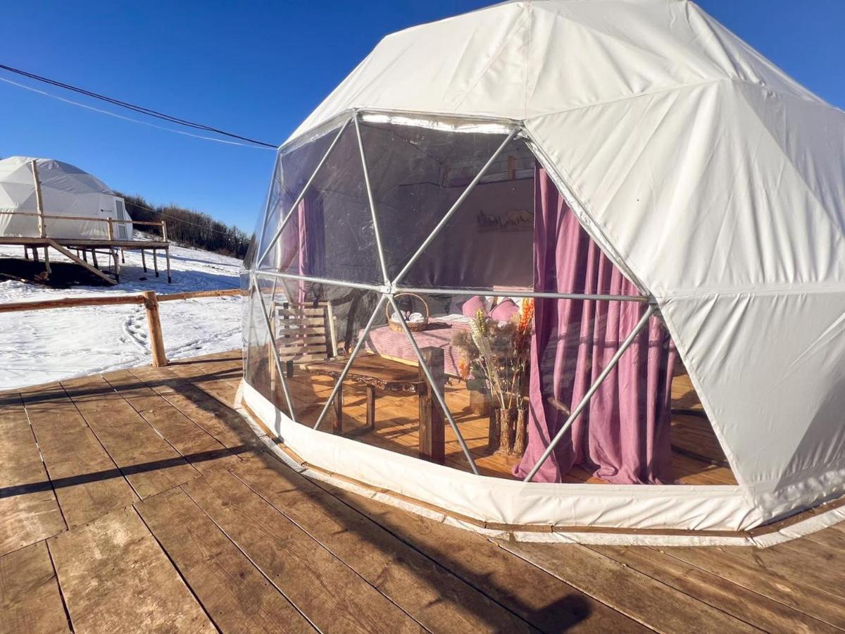 Glamping Park 호텔 Shahumyan 외부 사진