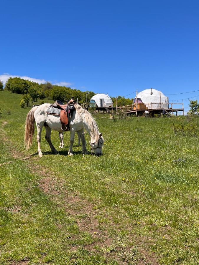 Glamping Park 호텔 Shahumyan 외부 사진