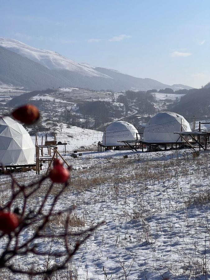 Glamping Park 호텔 Shahumyan 외부 사진